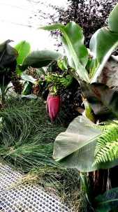 Green Walk 2014: Élőgépes víztisztítómű Dél-Pesten, kép HuGBC