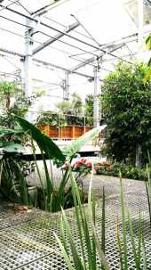 Green Walk 2014: Élőgépes víztisztítómű Dél-Pesten, kép HuGBC